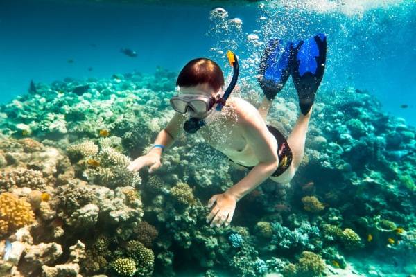 Bay từ Hà Nội vào Nha Trang mất bao lâu