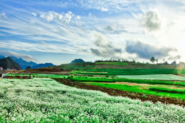 Vé máy bay giá rẻ tháng 2