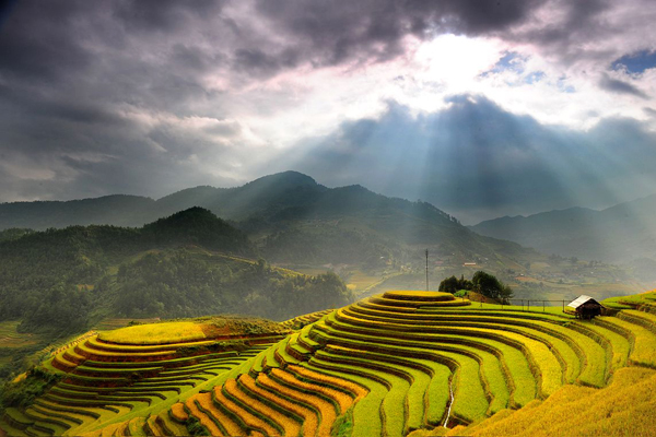 Vé máy bay giá rẻ tháng 8