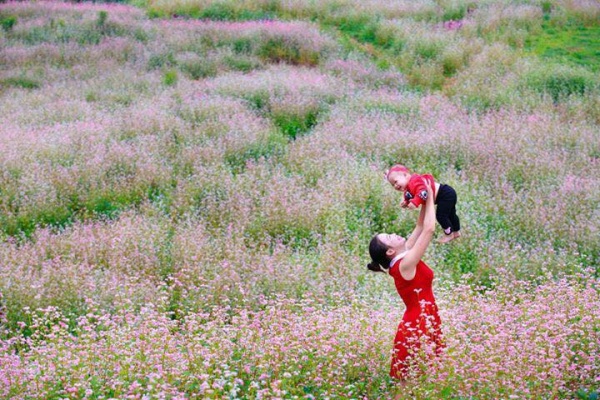 Vé máy bay giá rẻ tháng 9