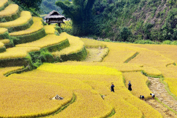 Vé máy bay giá rẻ tháng 9