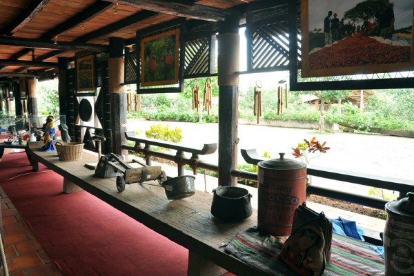 Vé máy bay đi Buôn Mê Thuột