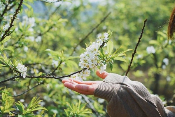 Săn vé máy bay giá rẻ tháng 2