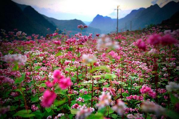 Săn vé máy bay giá rẻ tháng 9